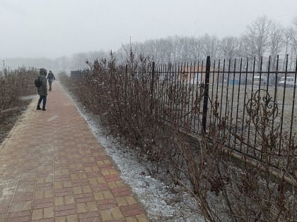 В Белгородской области обещают осадки, гололёд и туман