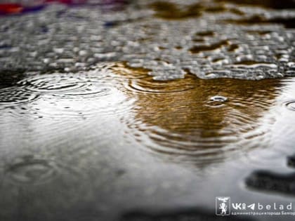 Белгородка попросила обратить внимание на условия работы сотрудников коммунальной службы