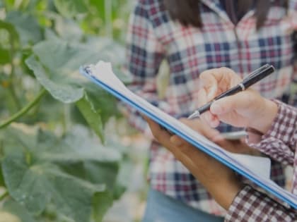 Татьяна Круглякова рассказала чернянцам о новшествах при ведении книг похозяйственного учёта