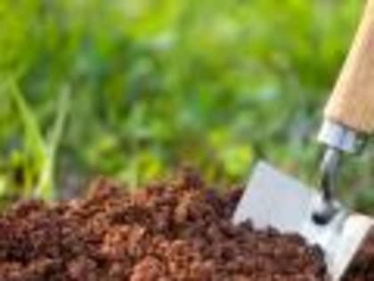 В Белгородской испытательной лаборатории ФГБУ «ВНИИЗЖ оценили санитарное состояние почвы