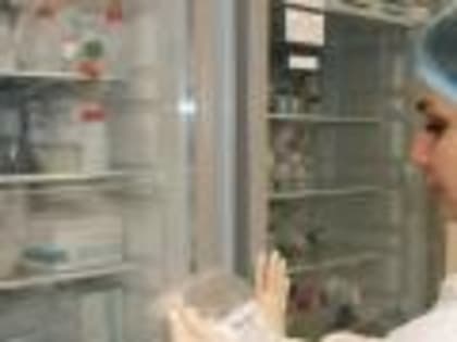 Более 8,5 тысяч исследований на АЧС методом ПЦР проведено с начала года Белгородской испытательной лабораторией