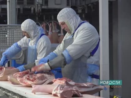 Белгородчина — «мясная столица» России