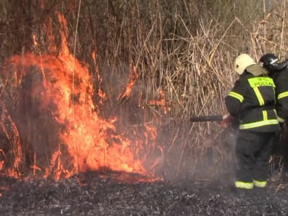 В Белгороде за прошедшие сутки ликвидировали 10 пожаров