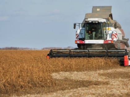 Вячеслав Гладков сообщил о старте компенсационных выплат предприятиям АПК