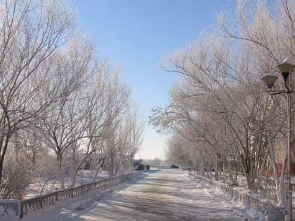 Аномально холодная погода продлится в Белгородской области четыре дня