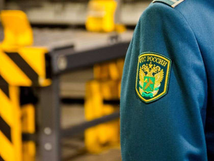 На границе Белгородчины таможенники не дали украинке вывезти валюту из России