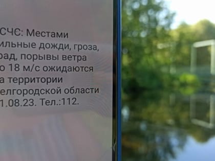 На Белгородскую область надвигаются грозы с градом