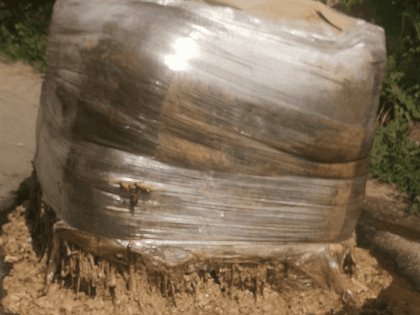 Возле шебекинского приюта «Ангел» гниют две тонны мяса