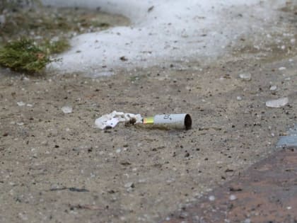 Вячеслав Гладков рассказал о состоянии жителей Белгородской области, пострадавших после недавних обстрелов