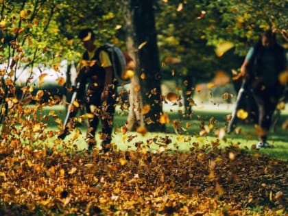 В Белгороде пройдут дни защиты от экологической опасности