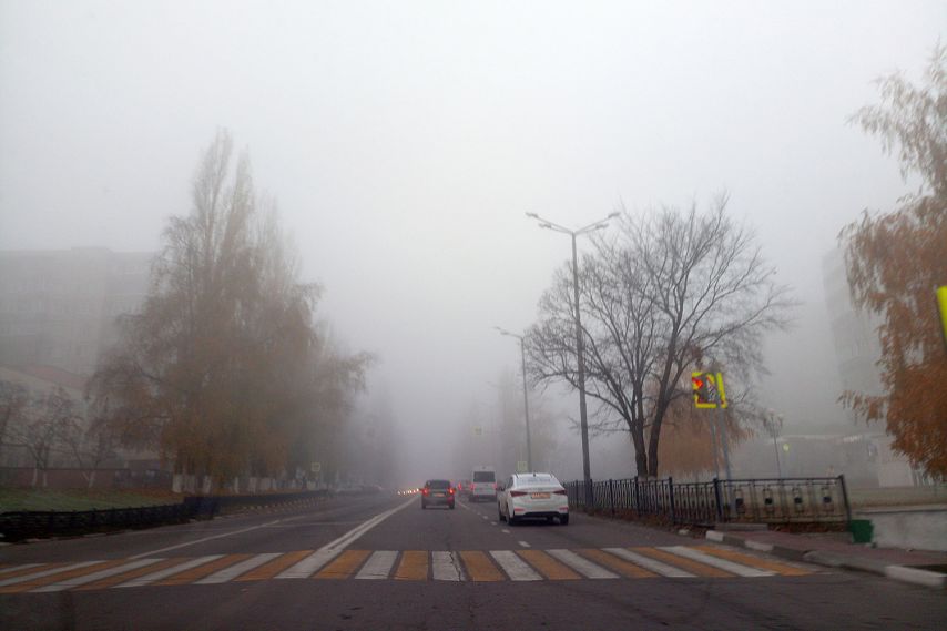 В старом осколе сегодня по часам. Туман в Старом Осколе. Старый Оскол дождь. Дождь в Белгородской области. Климат старый Оскол.