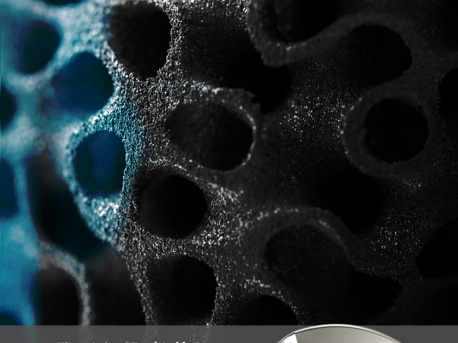 Kinos-Axiom® 3D Printed Flat Cut Talar Brochure