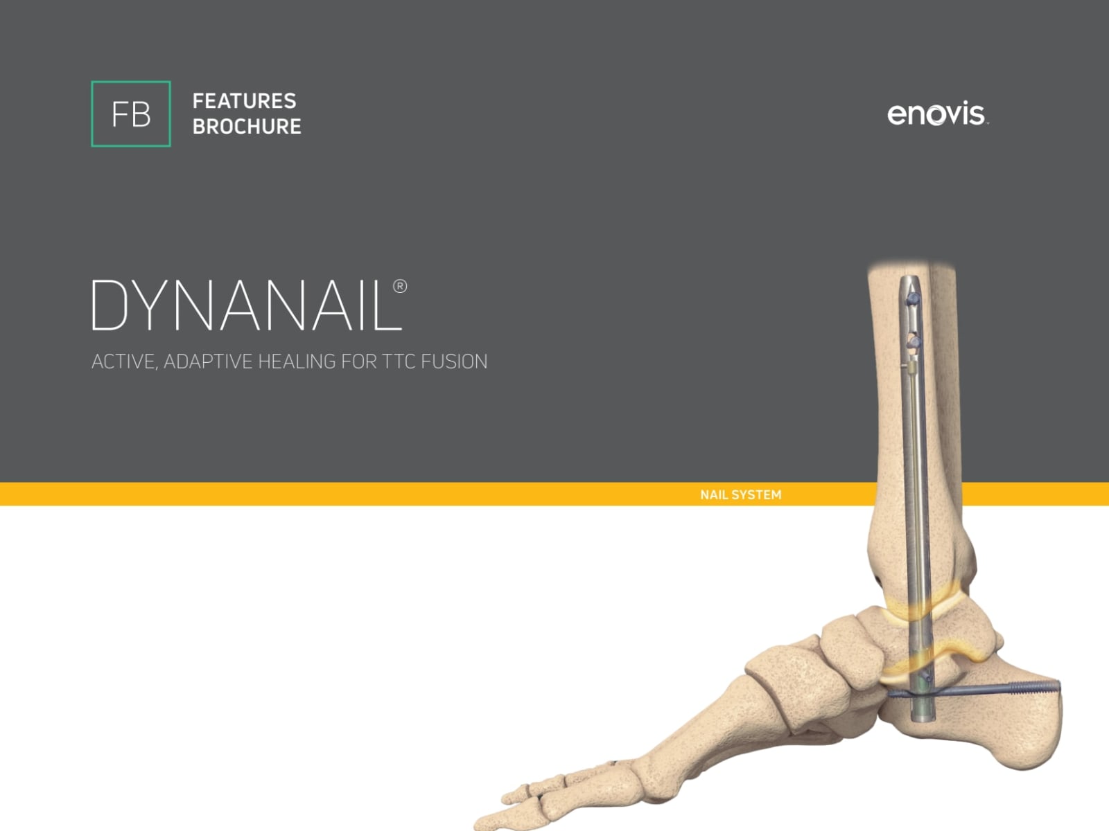 Overview - Dynanail TTC