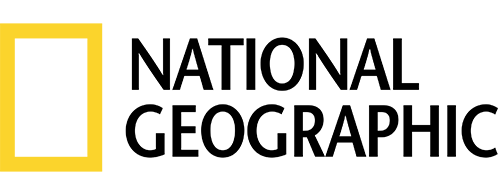 Brand Logo 14