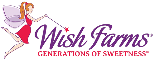 Brand Logo 11
