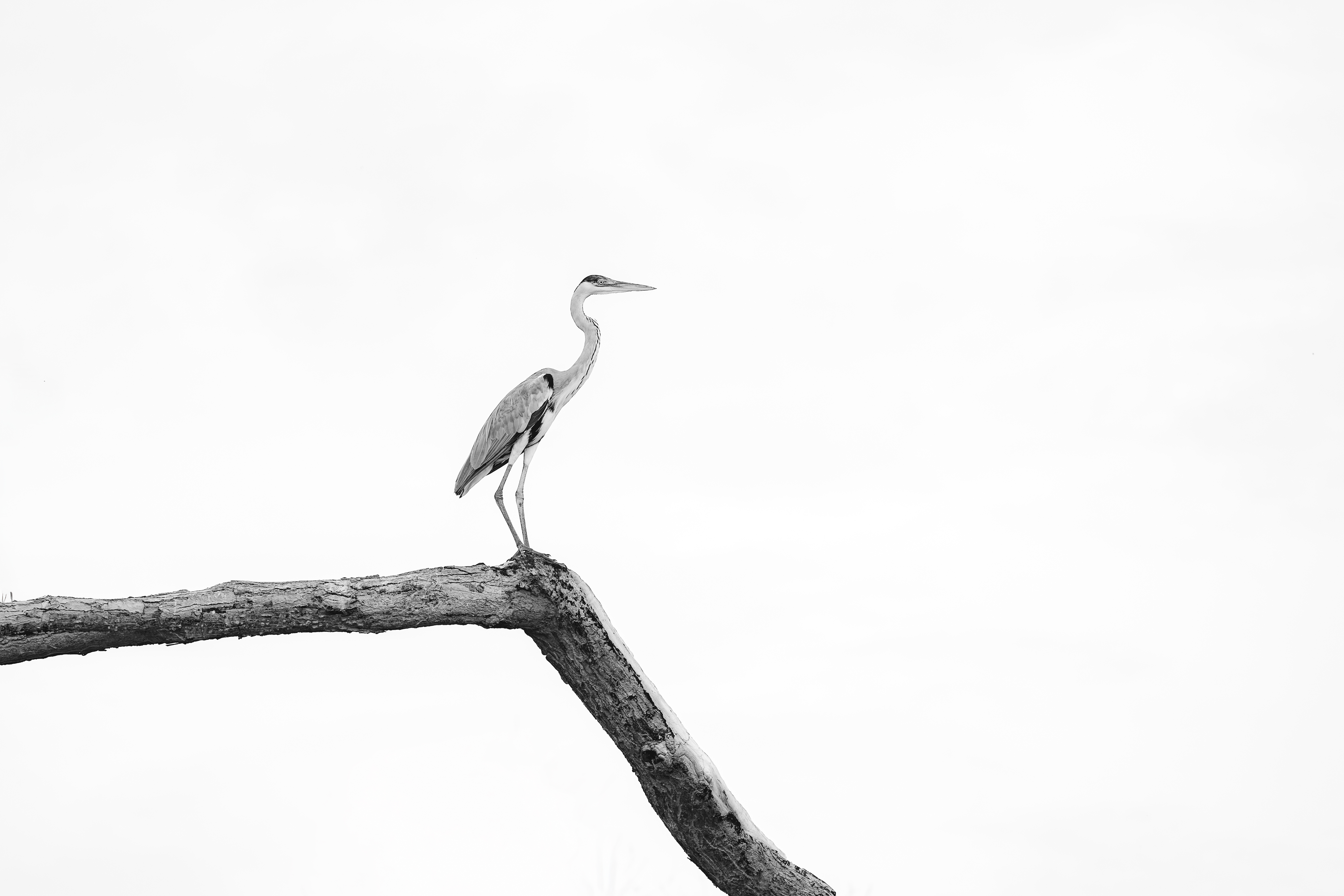 Equilíbrio