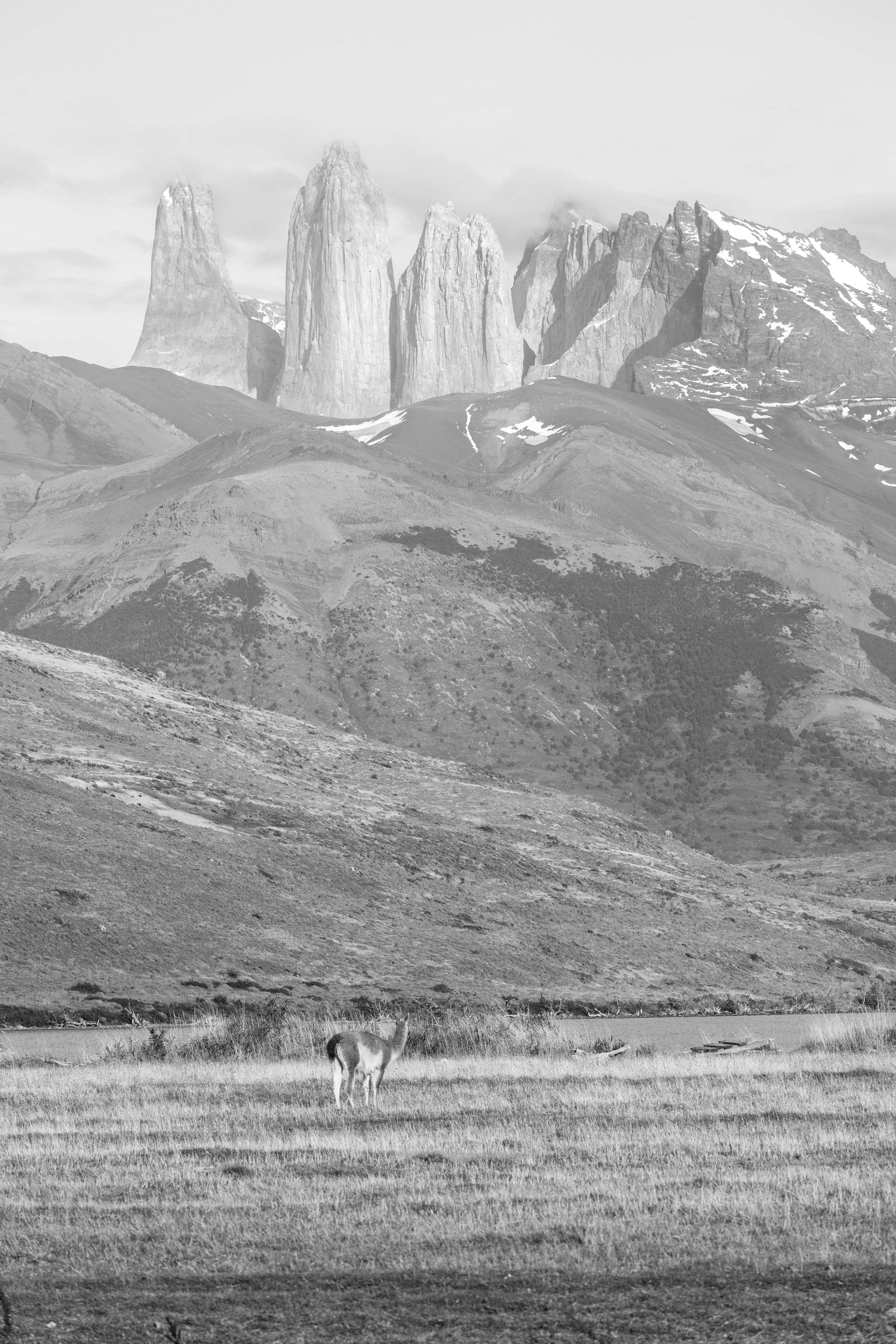 The Wanderer