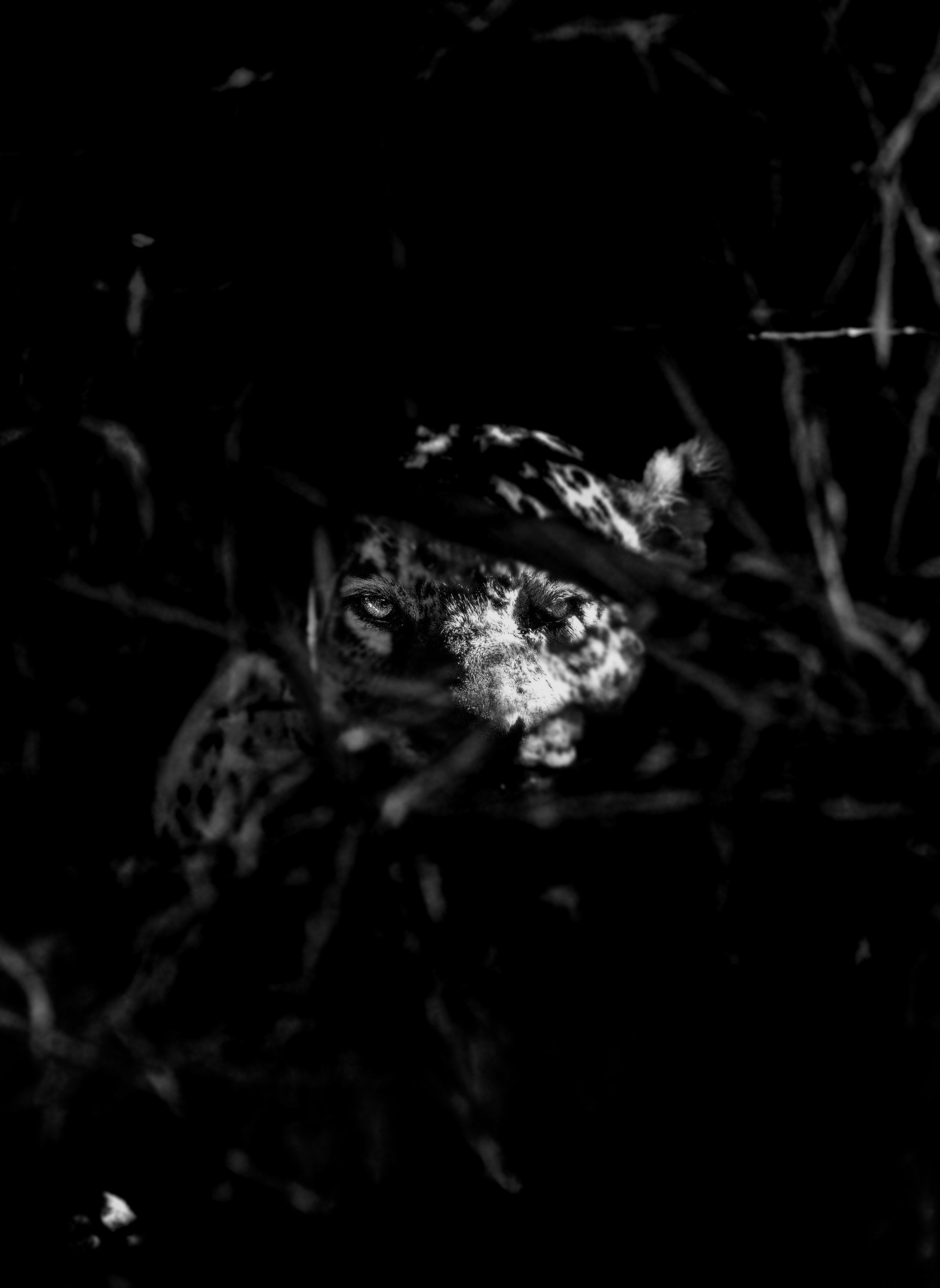 Presence