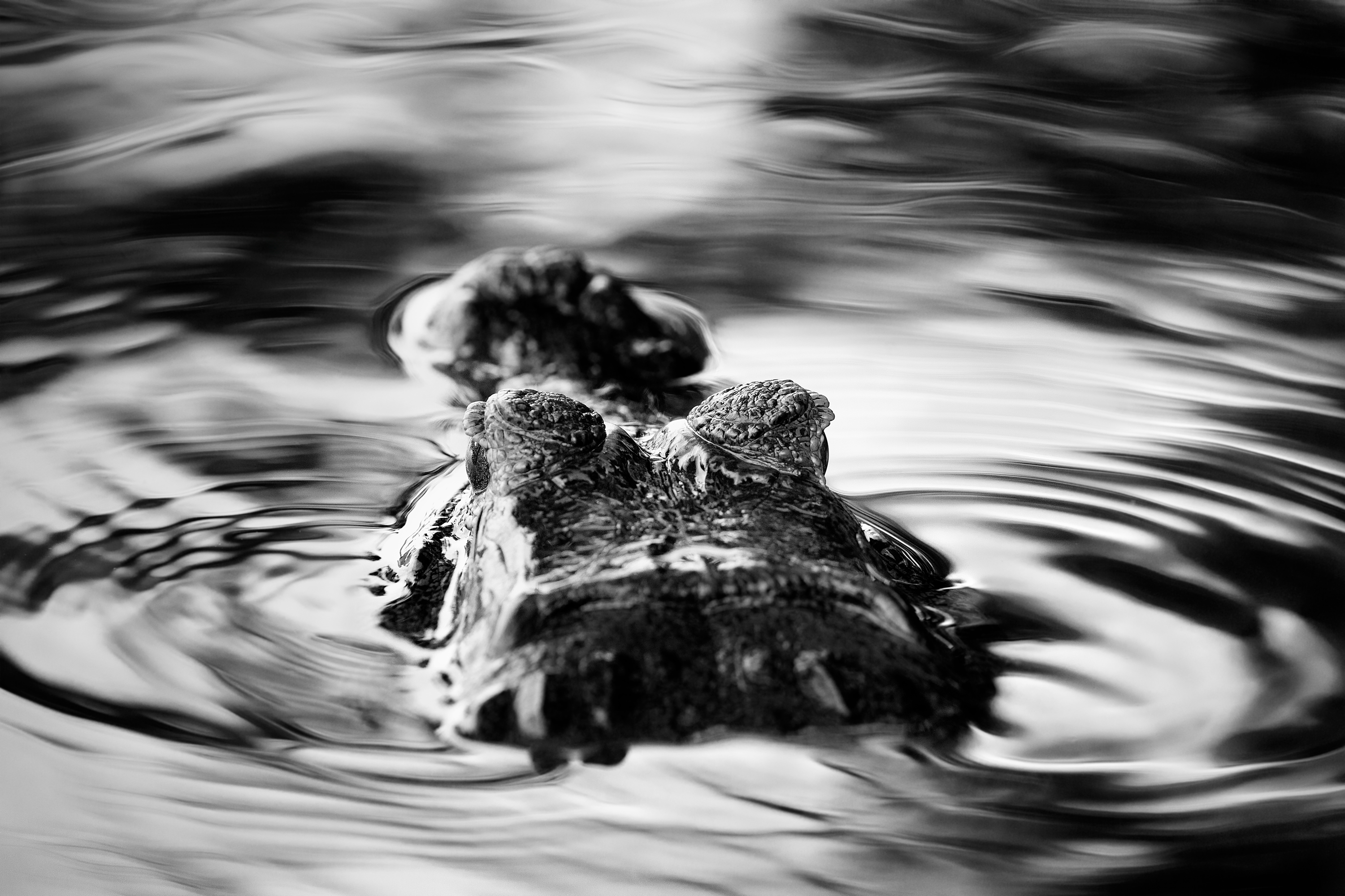 Stillness Beneath