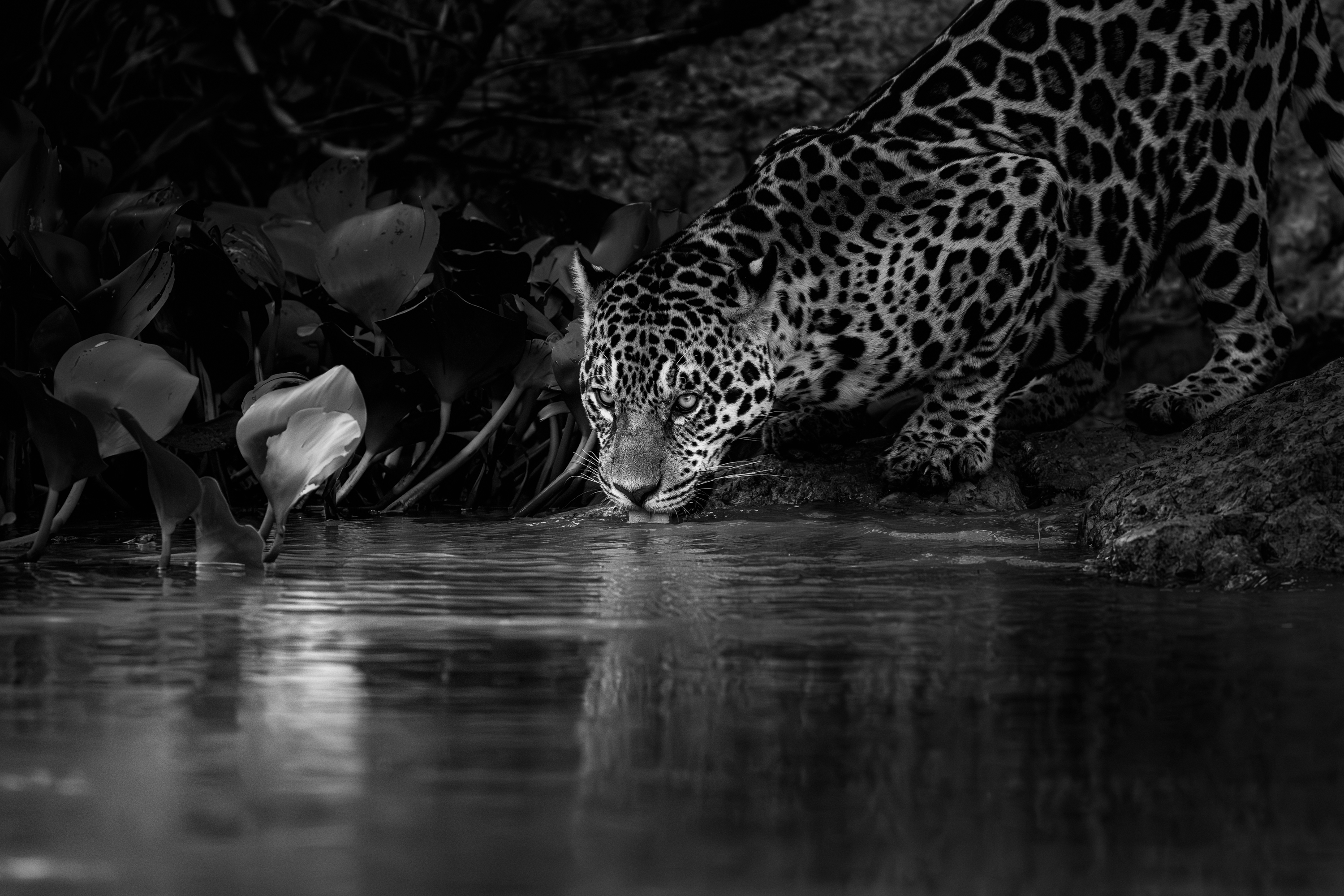 Sustenance