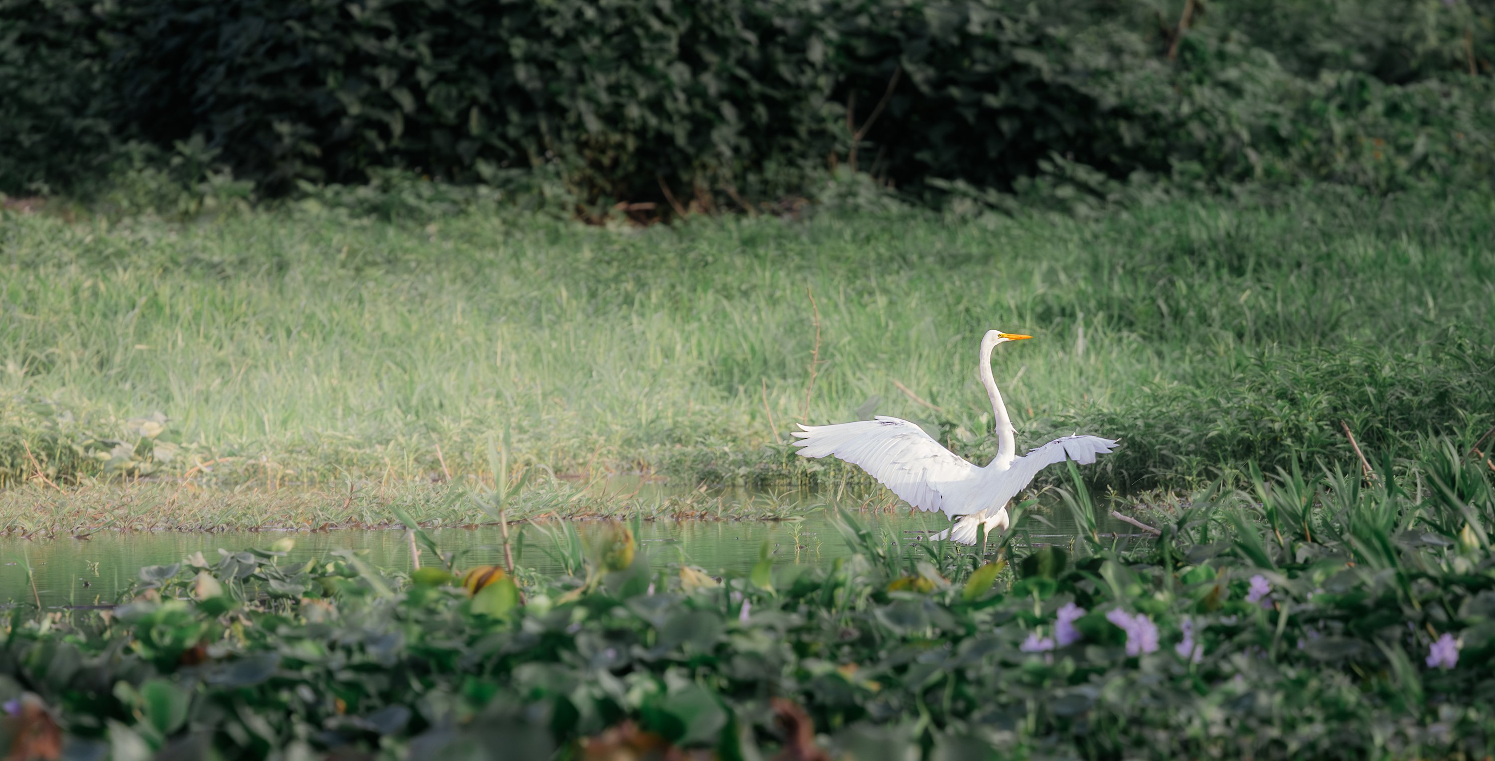 O Bailado — Bruno Spadoni Photography