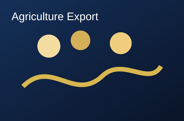 9x9 Inch Sugarcane Bagasse Clamshell Box (3-Compartment) — export from India via Globnexia