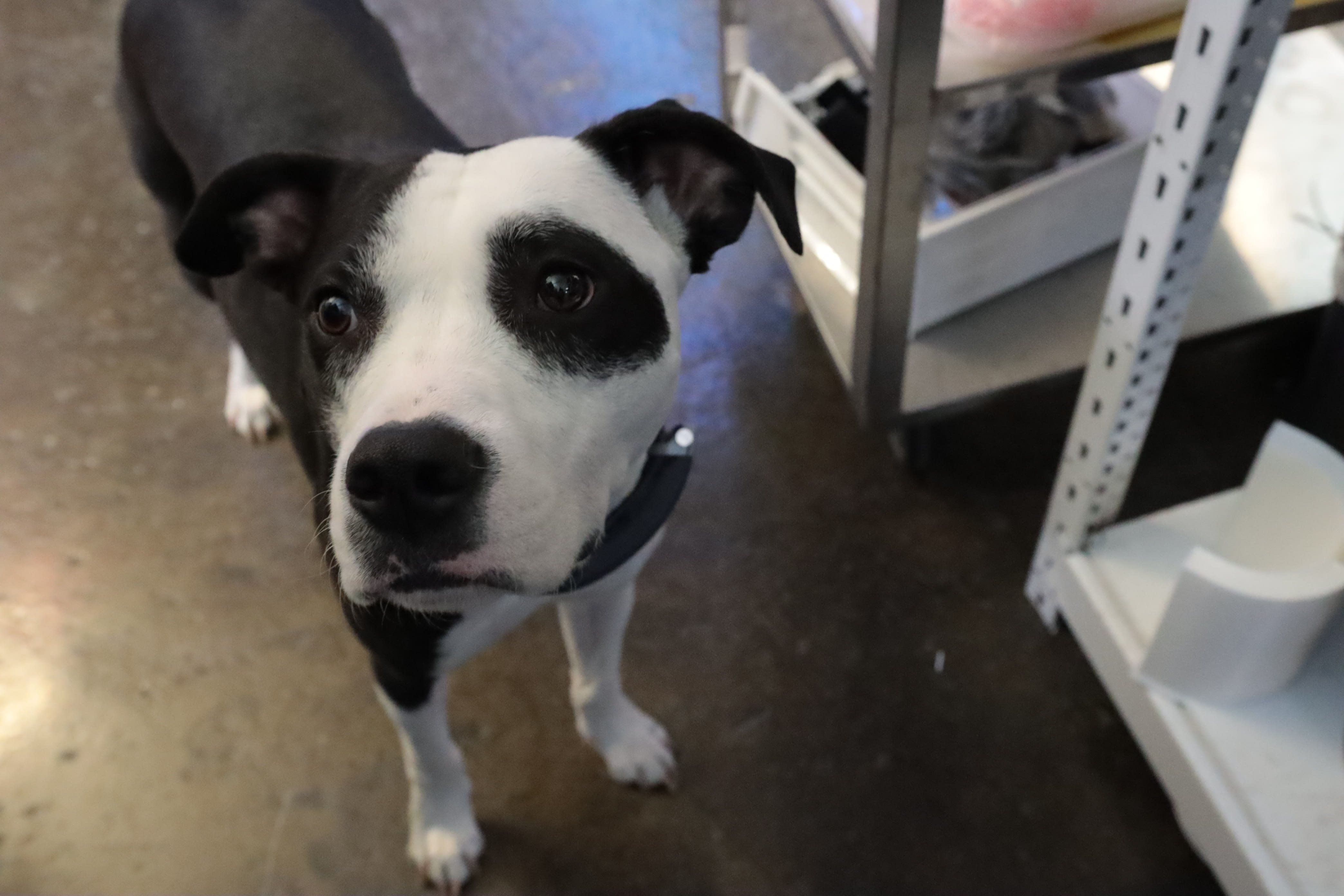 Makelab production — serving Queens