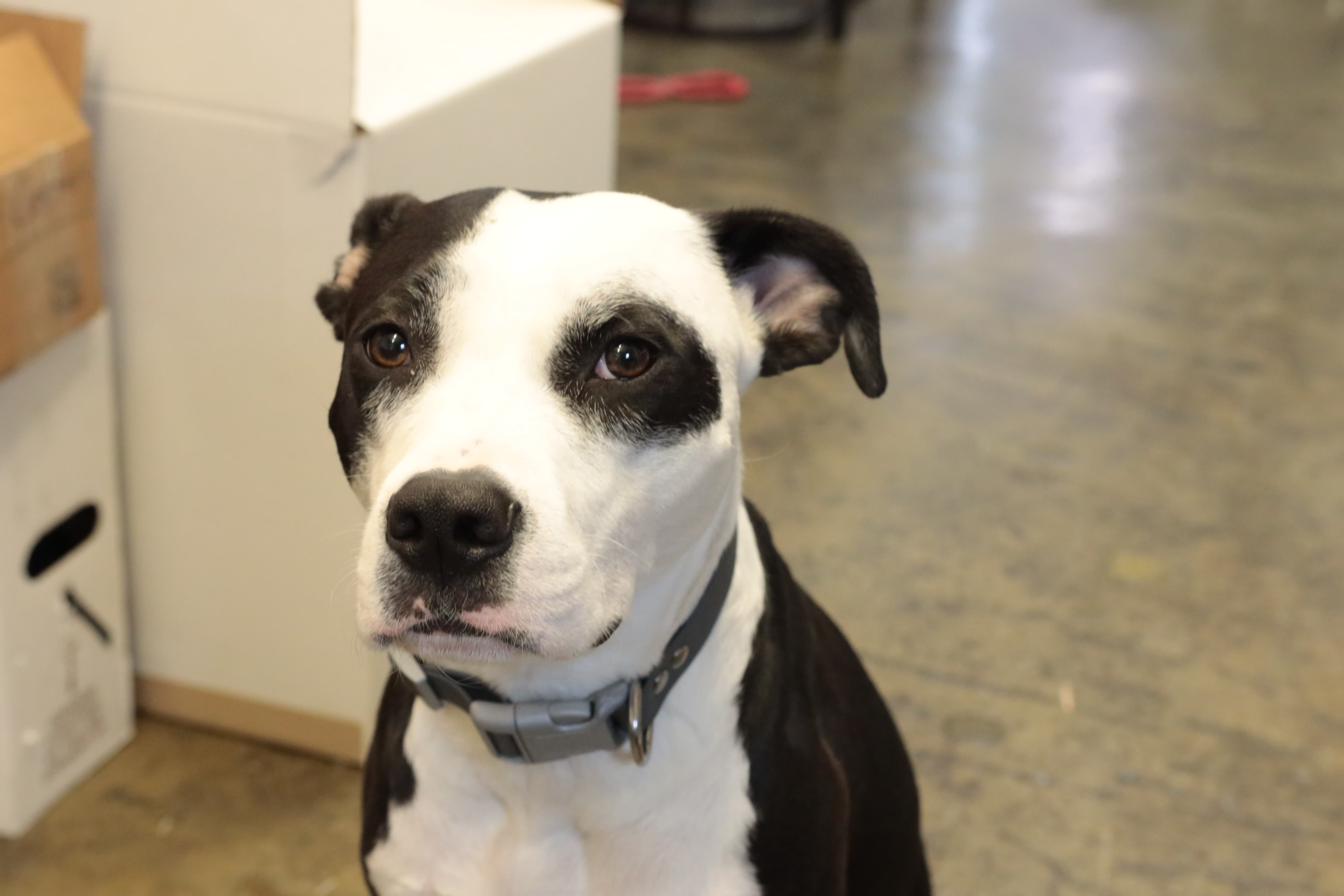 Makelab production — serving Bronx