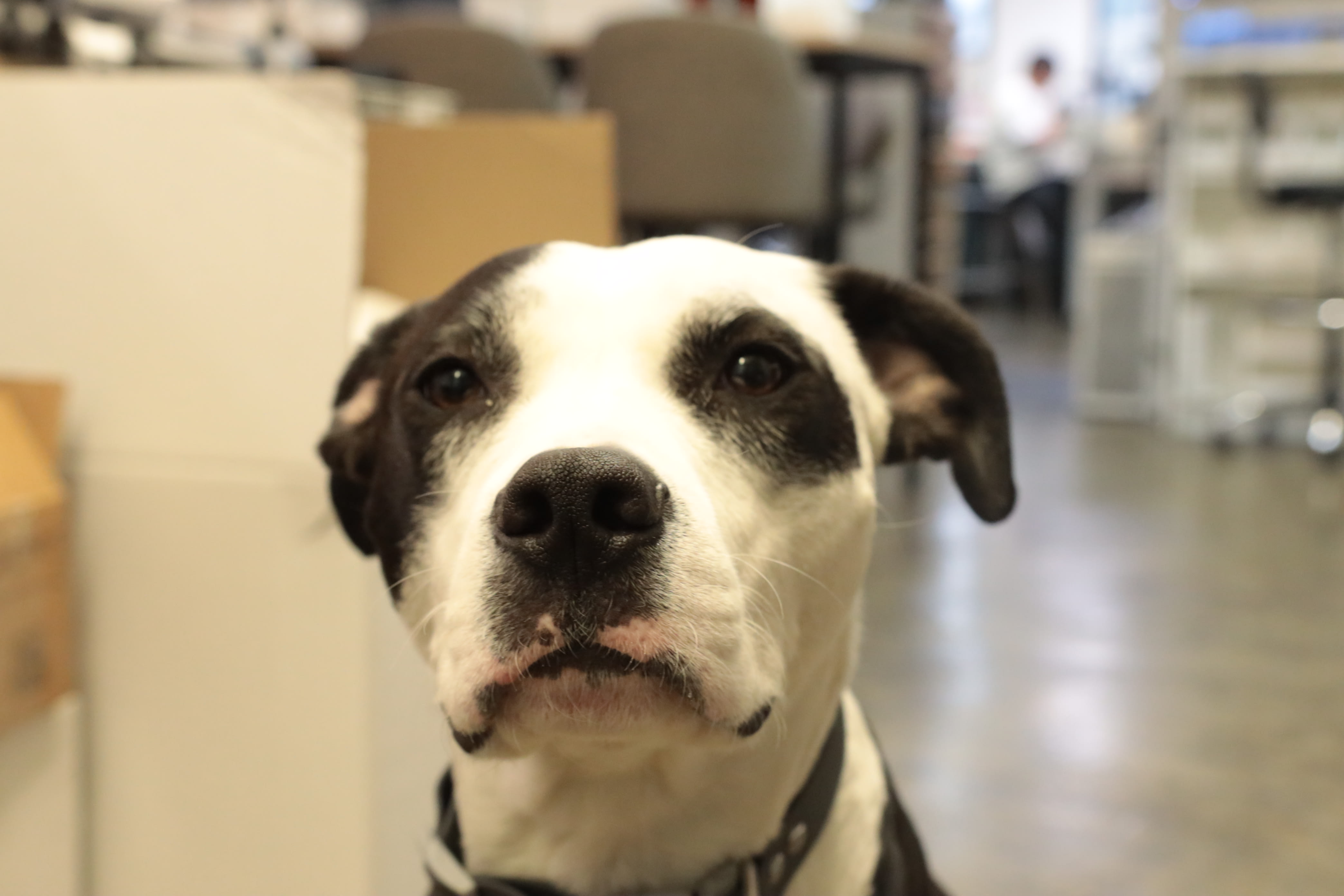 Makelab production — serving Mountain View