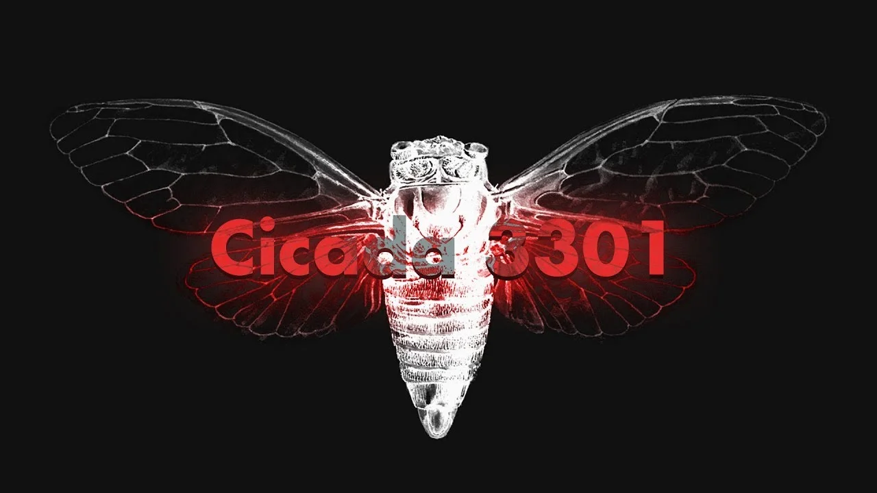 Cicada 3301.jpg