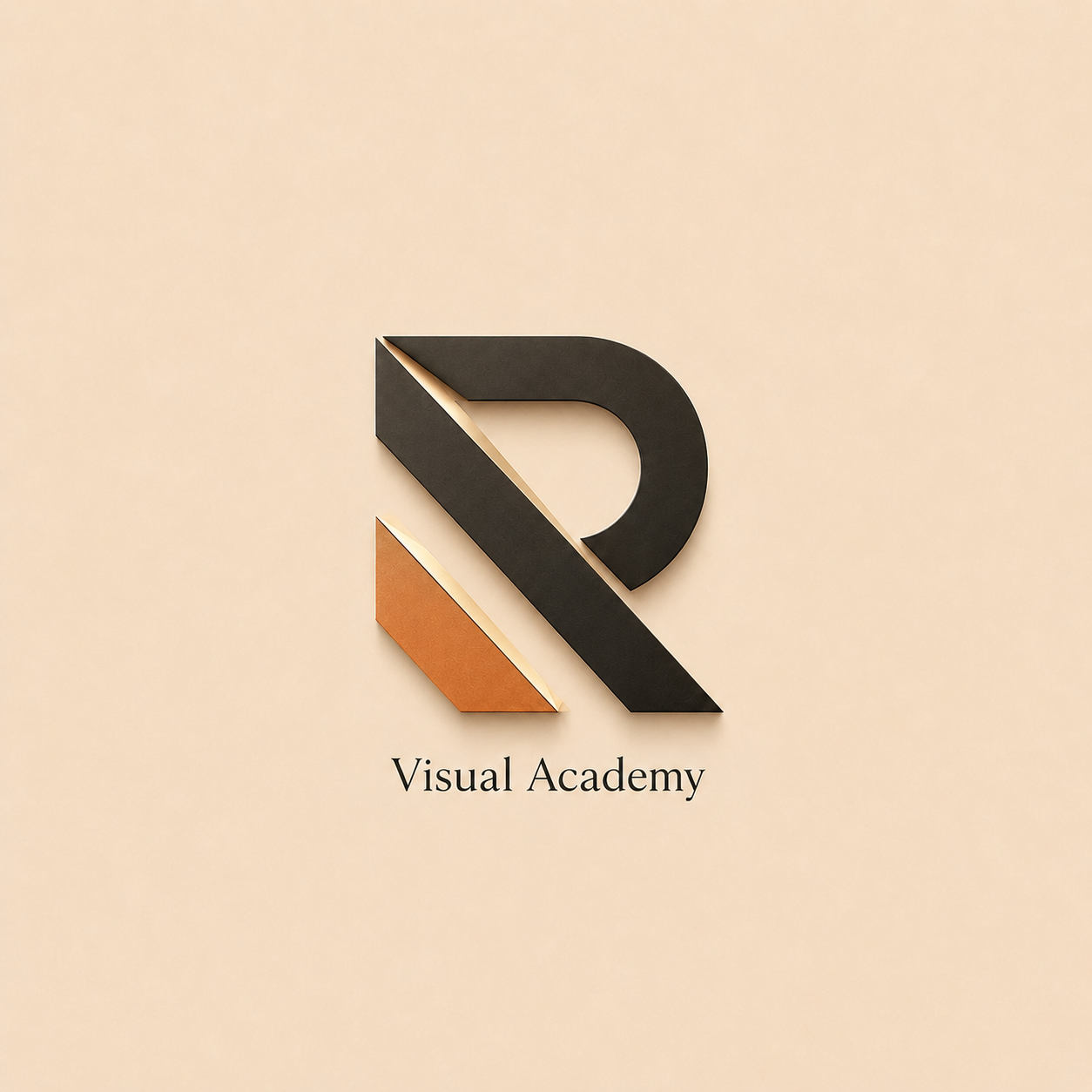Visual Academy Rolando