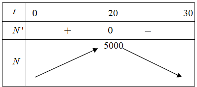 Một loại vi khuẩn được tiêm một loại thuốc kích thích sự sinh sản 1 de thi toan online