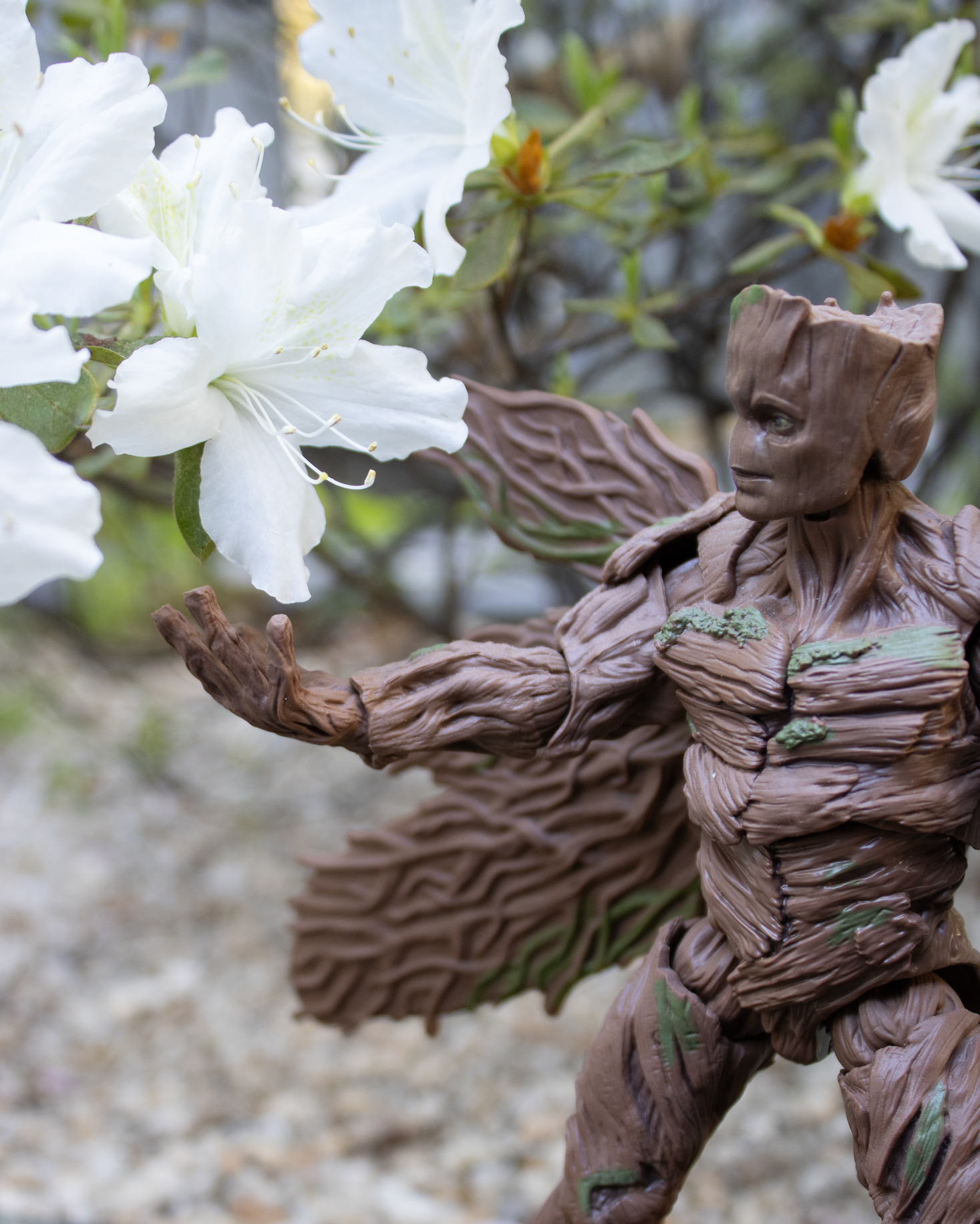 Groot with flower outside