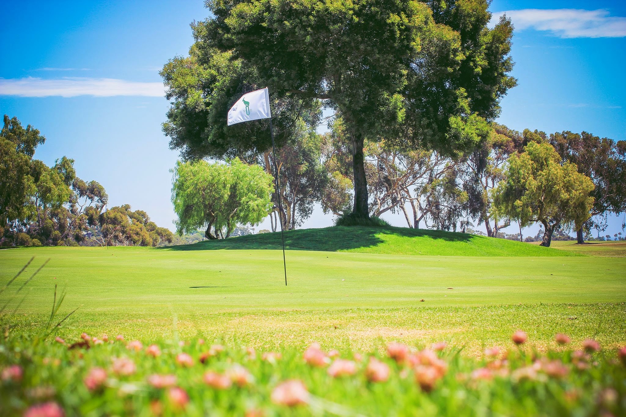 Goat Hill Park overview
