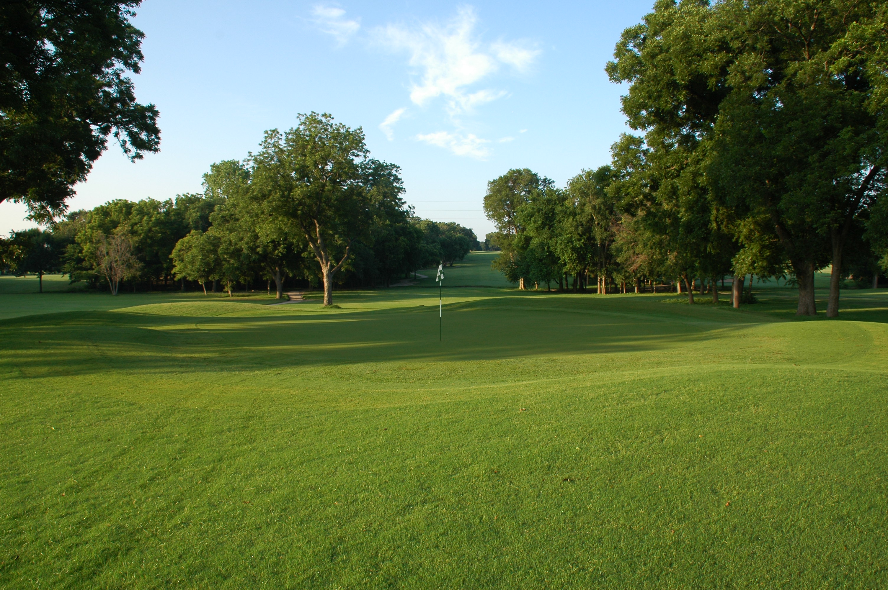 A beautiful view of a well-manicured green surrounded by mature trees with excellent lighting and course conditioning visible.