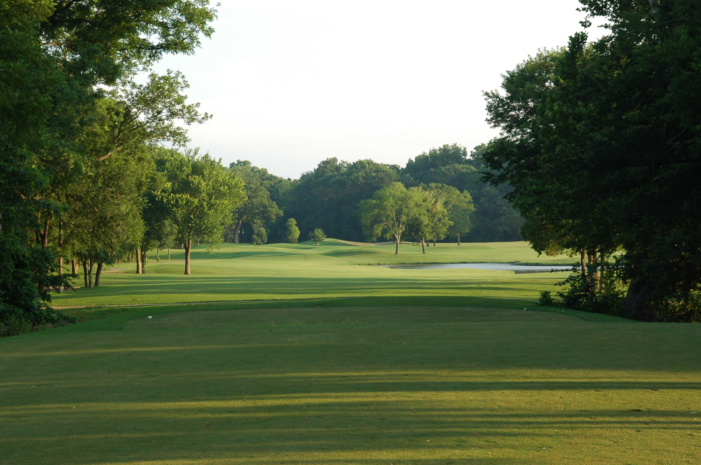 Tree-framed fairway view showing an undulating green landscape with scattered trees and soft lighting creating a peaceful golf atmosphere.