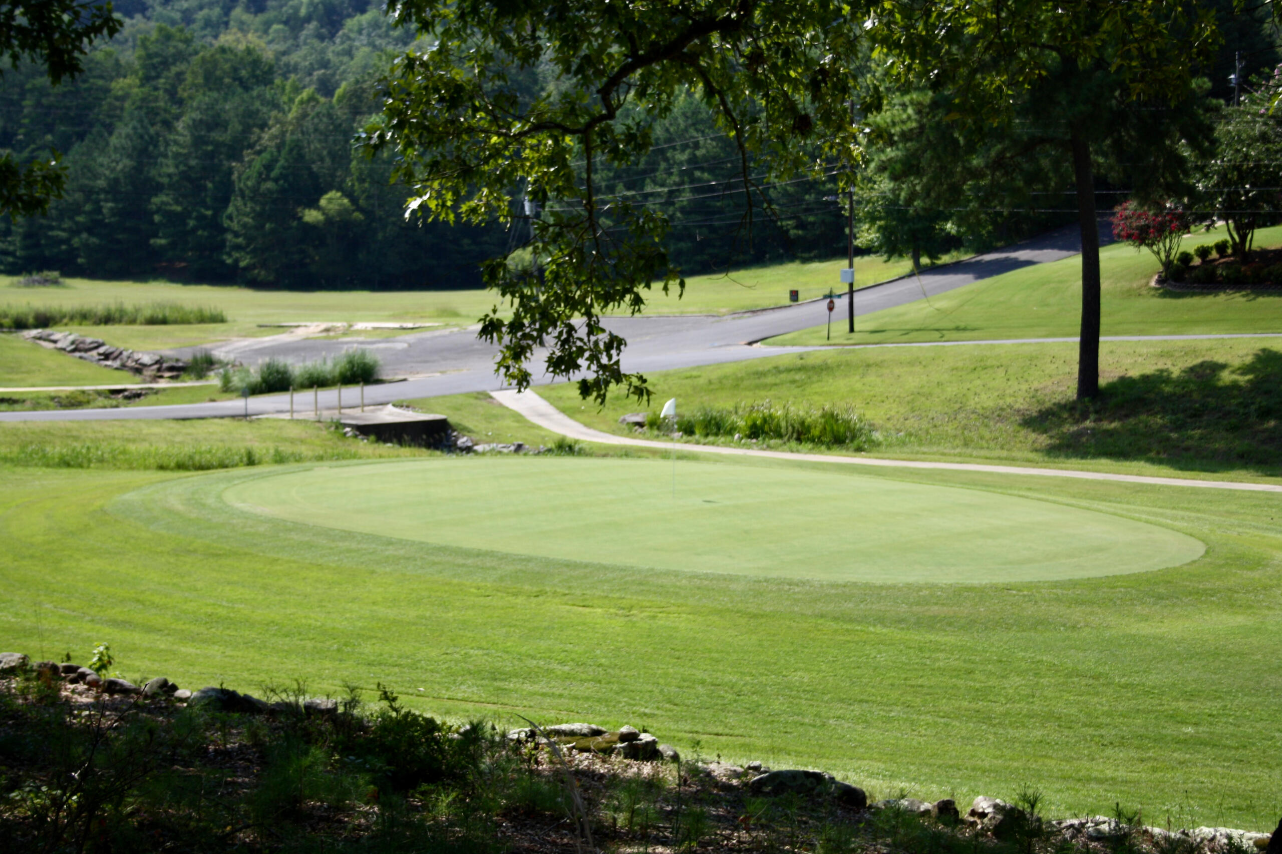 A well-manicured putting green with visible mowing patterns surrounded by landscaping, cart paths, and wooded hills in the background.