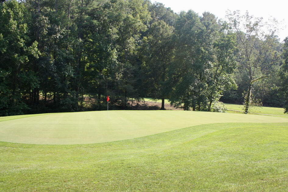 Golf green with red flag pin surrounded by well-maintained fairway and mature trees in background.