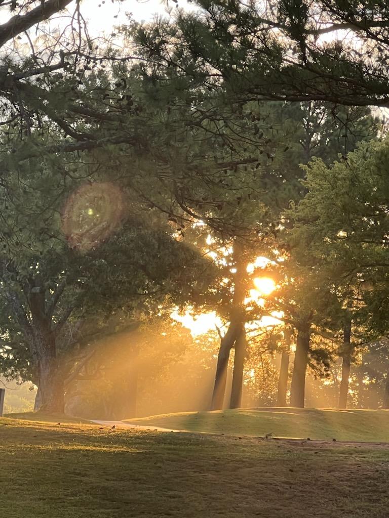 Golden sunrise filtering through mature trees on the golf course with dramatic sunbeams and atmospheric lighting creating a moody morning scene.