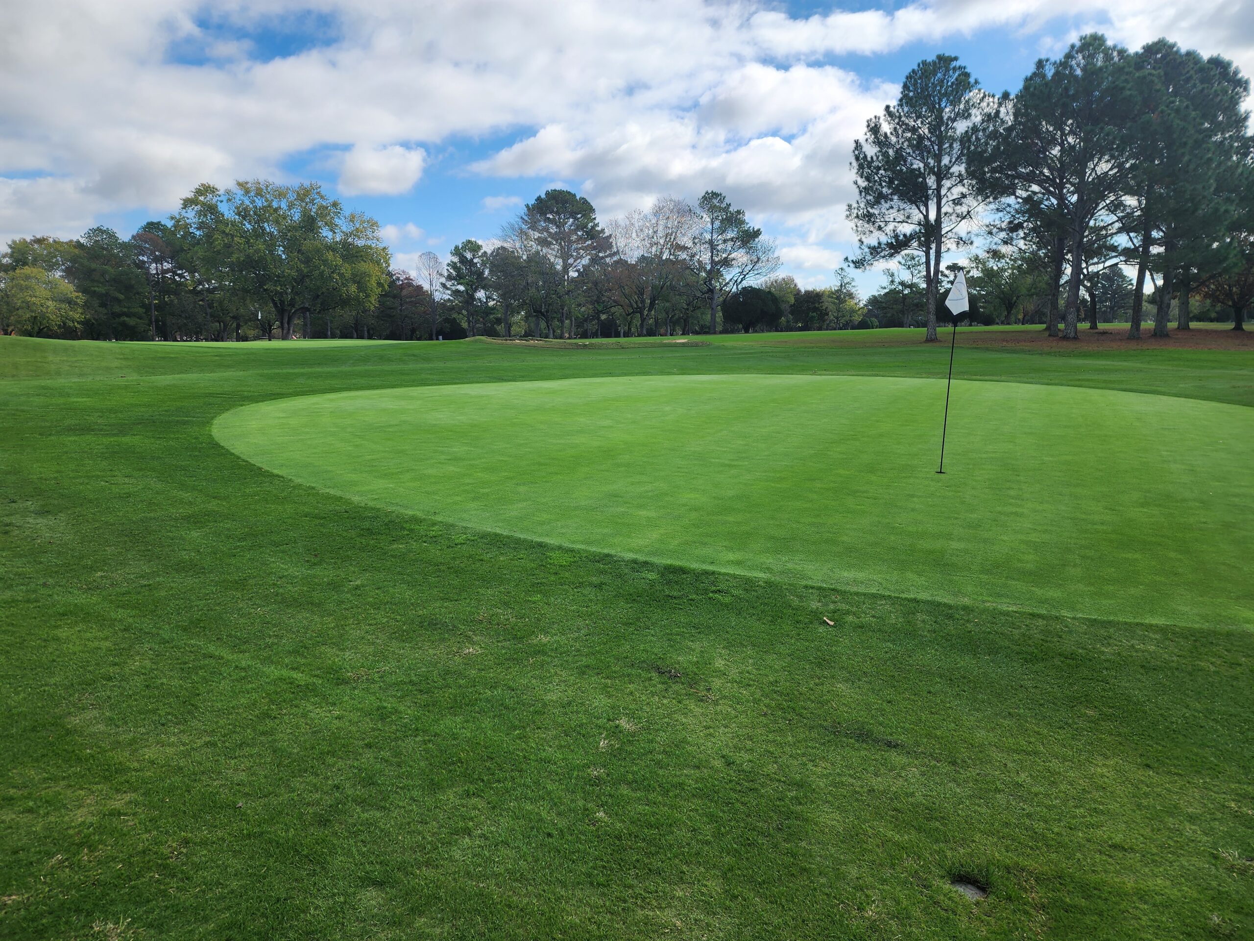Close-up view of an immaculate putting green with flag stick, showing excellent turf conditions and surrounded by tree-lined fairway under partly cloudy skies.