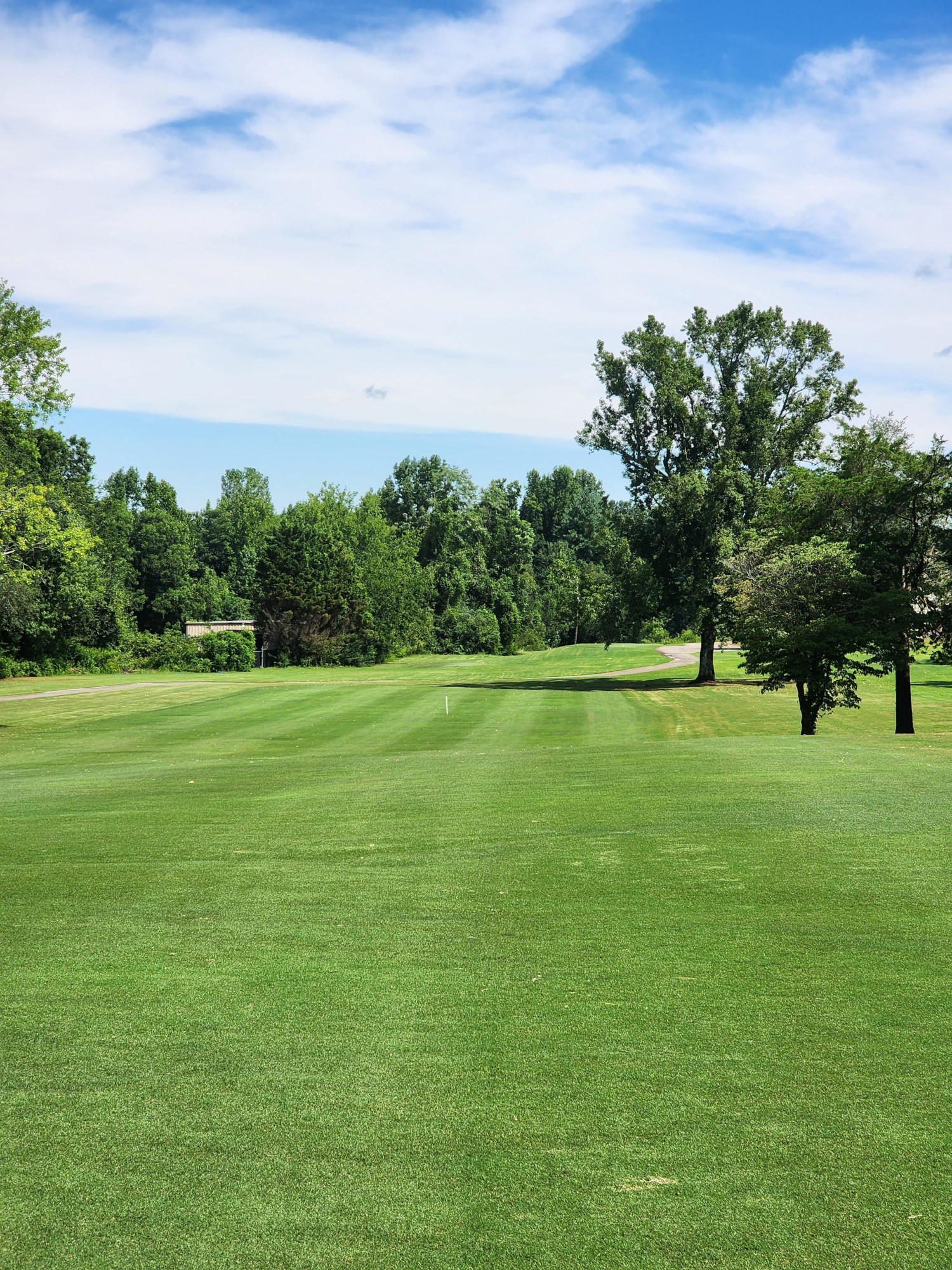 Pristine fairway with visible mowing stripes and a flag visible in the distance, surrounded by lush mature trees under a blue sky with white clouds.