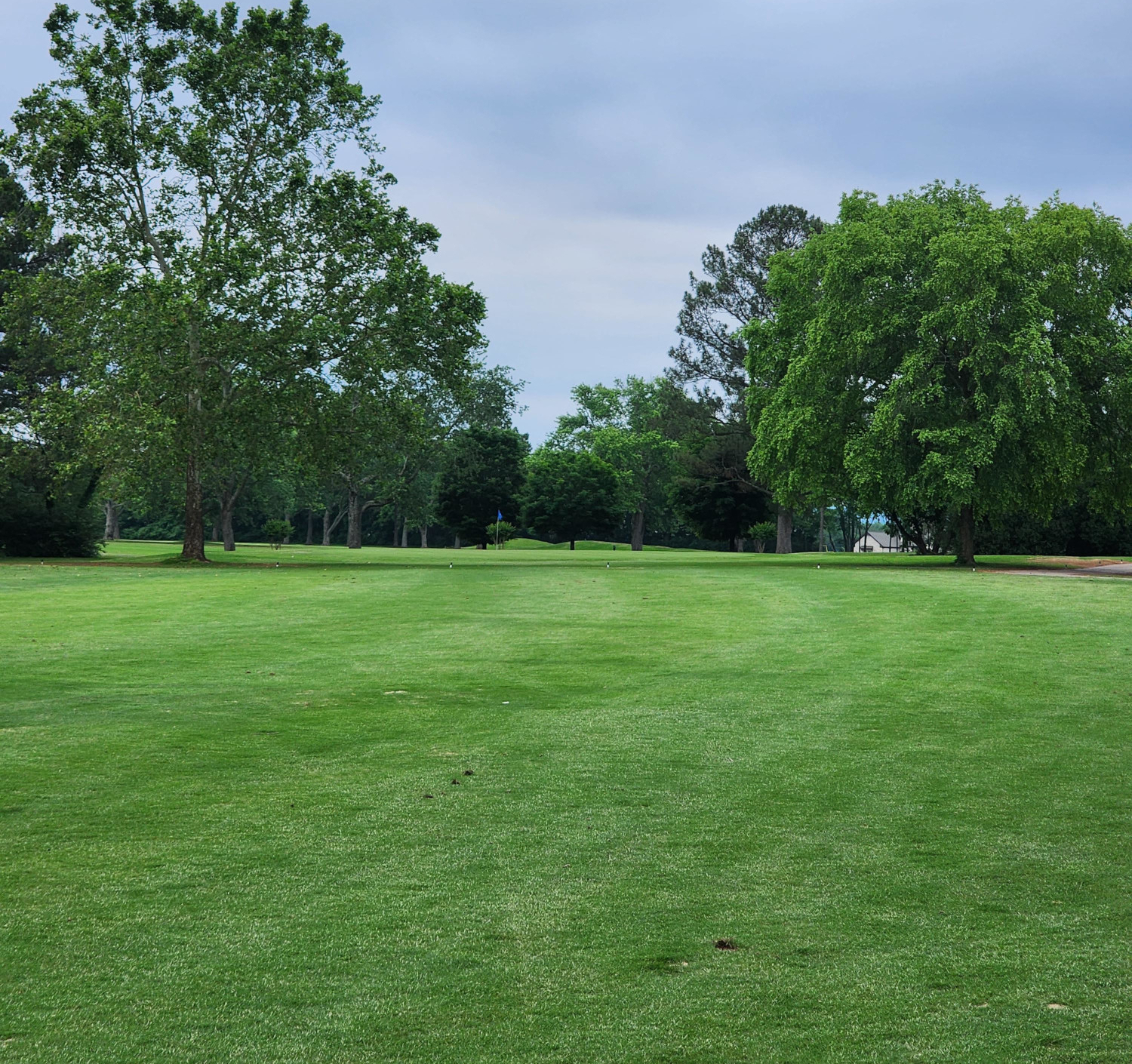 Wide fairway or approach area leading to green with mature trees lining both sides under an overcast sky, showing the course's tree-lined character.