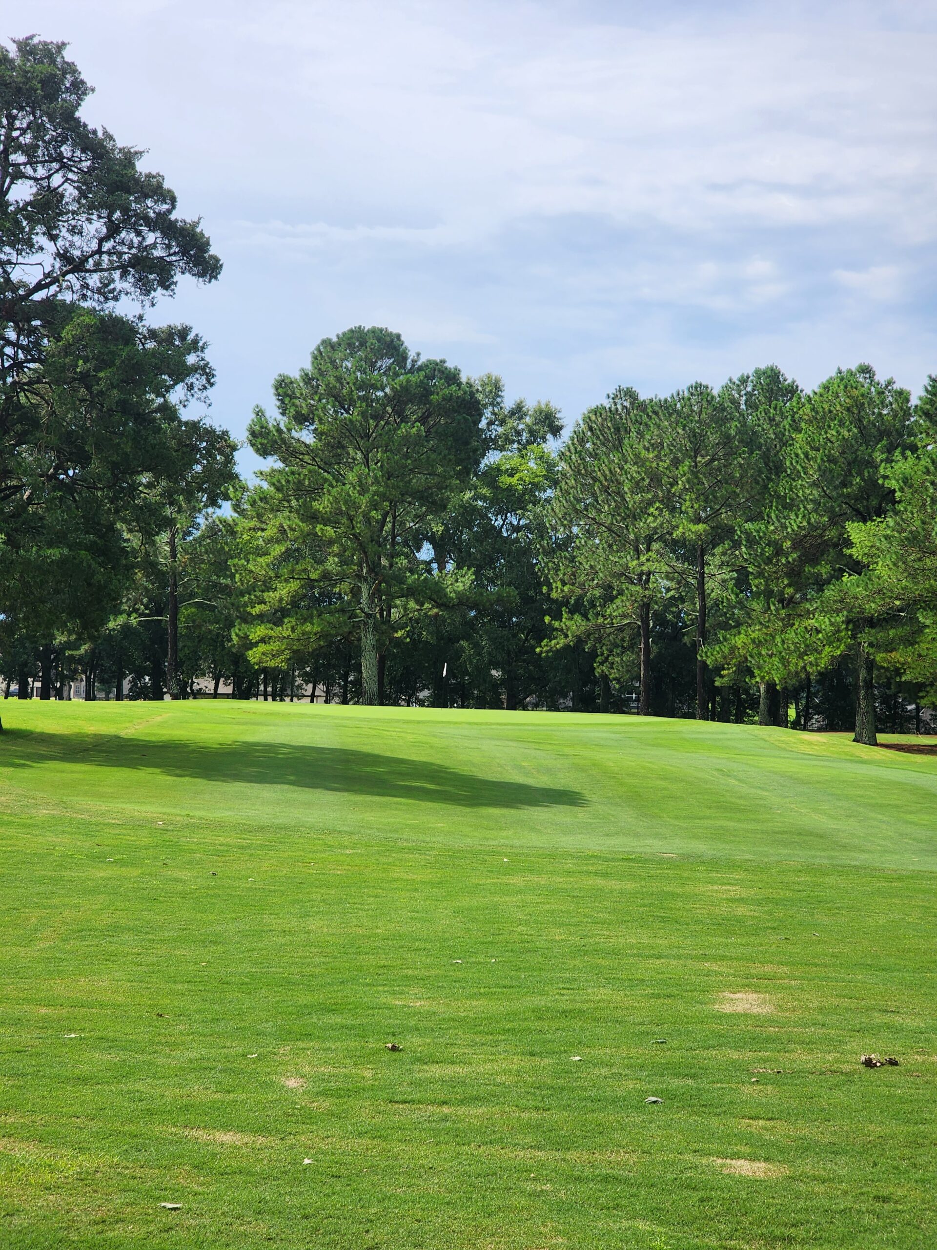 Elevated golf green with visible undulations and flag pin, surrounded by mature pine and hardwood trees under overcast skies.