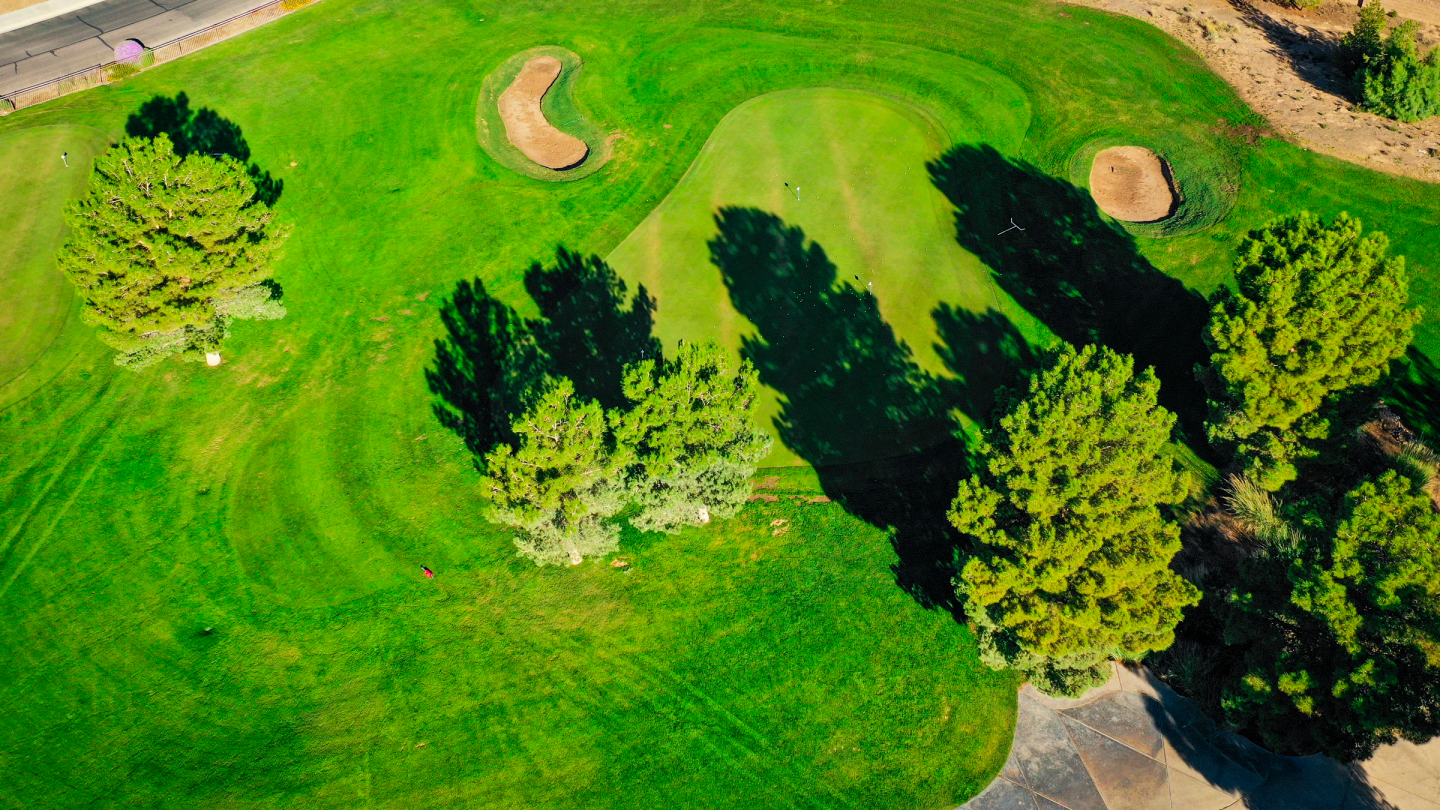 Overhead view of a well-maintained putting green with two sand bunkers positioned strategically around the green, surrounded by mature trees casting dramatic shadows.