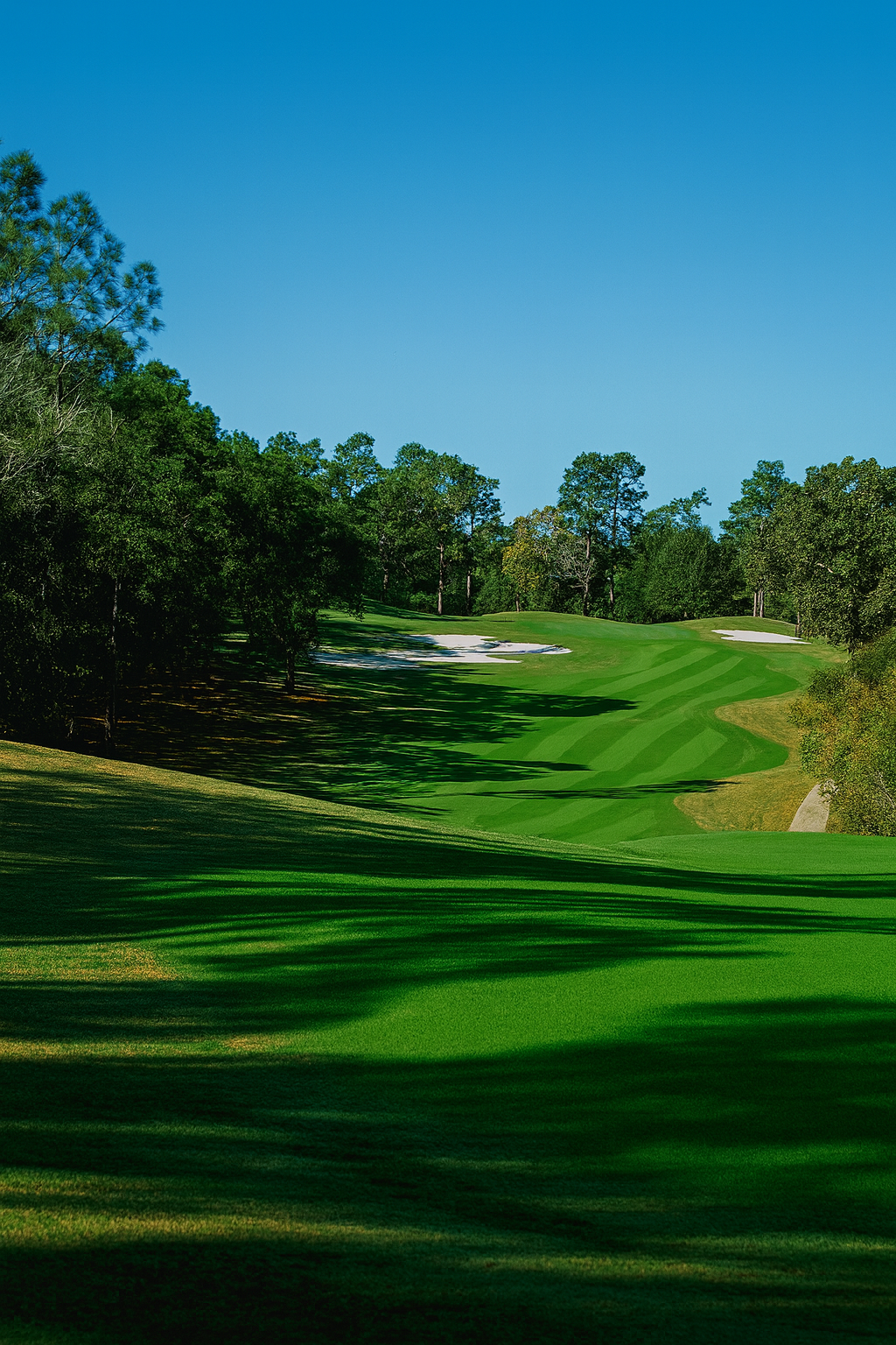 Beautiful golf course fairway view showing manicured green turf with dramatic shadows, surrounded by mature trees under clear blue sky.