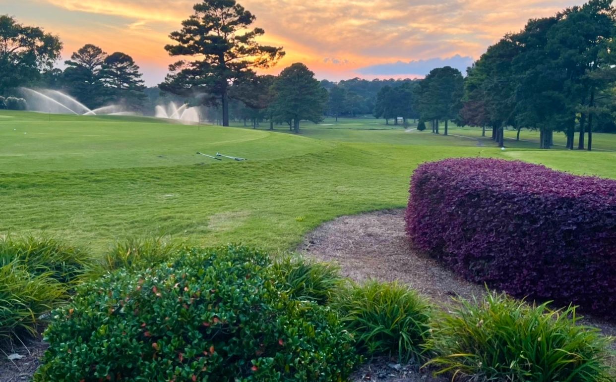Beautiful sunset view of the golf course featuring manicured fairways with active irrigation sprinklers, mature trees, and colorful landscaping with purple ornamental shrubs in the foreground.