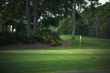 A well-maintained putting green with a yellow flag pin surrounded by lush trees and landscaping, showcasing the course's pristine playing conditions.
