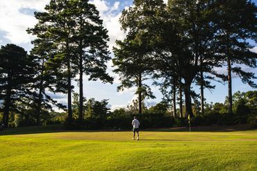 Two golfers on putting green surrounded by mature pine trees with bright, even lighting.