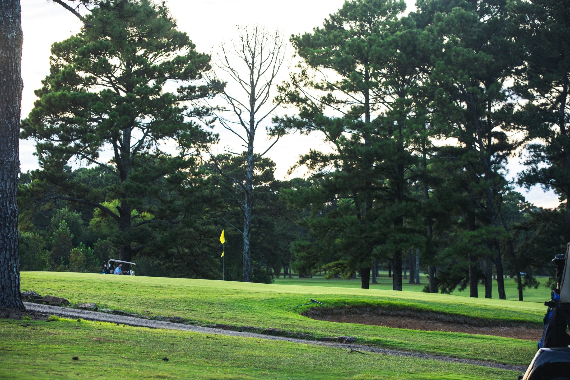 A golf green with yellow flag surrounded by mature pine trees, featuring a cart path and golf cart in the background during late afternoon lighting.