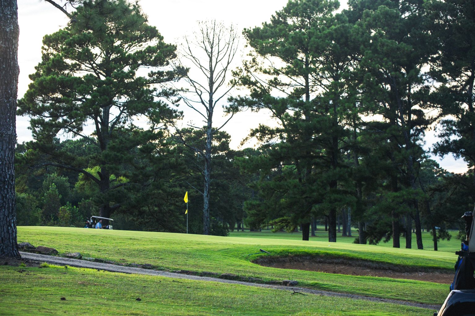 Scenic golf course hole with undulating green fairways, mature pine trees lining both sides, a yellow flag visible on the green, and a golf cart in the distance.